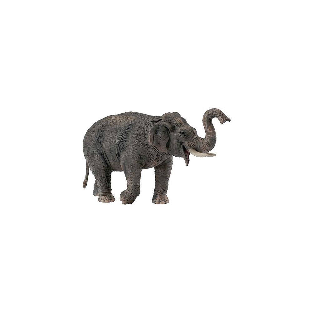 Figurines Collecta - Figurine Eléphant d'Asie - Animaux