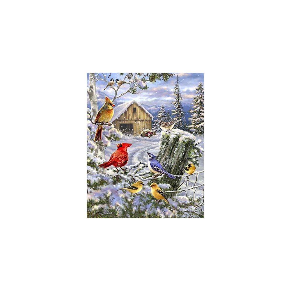 Springbok - Springbok Puzzles - Frosty Morning Song - 1000 Piece Jigsaw Puzzle - Large 30 Inches by 24 Inches Puzzle - Made in USA - Unique Cut Interlocking Pieces - Accessoires Puzzles