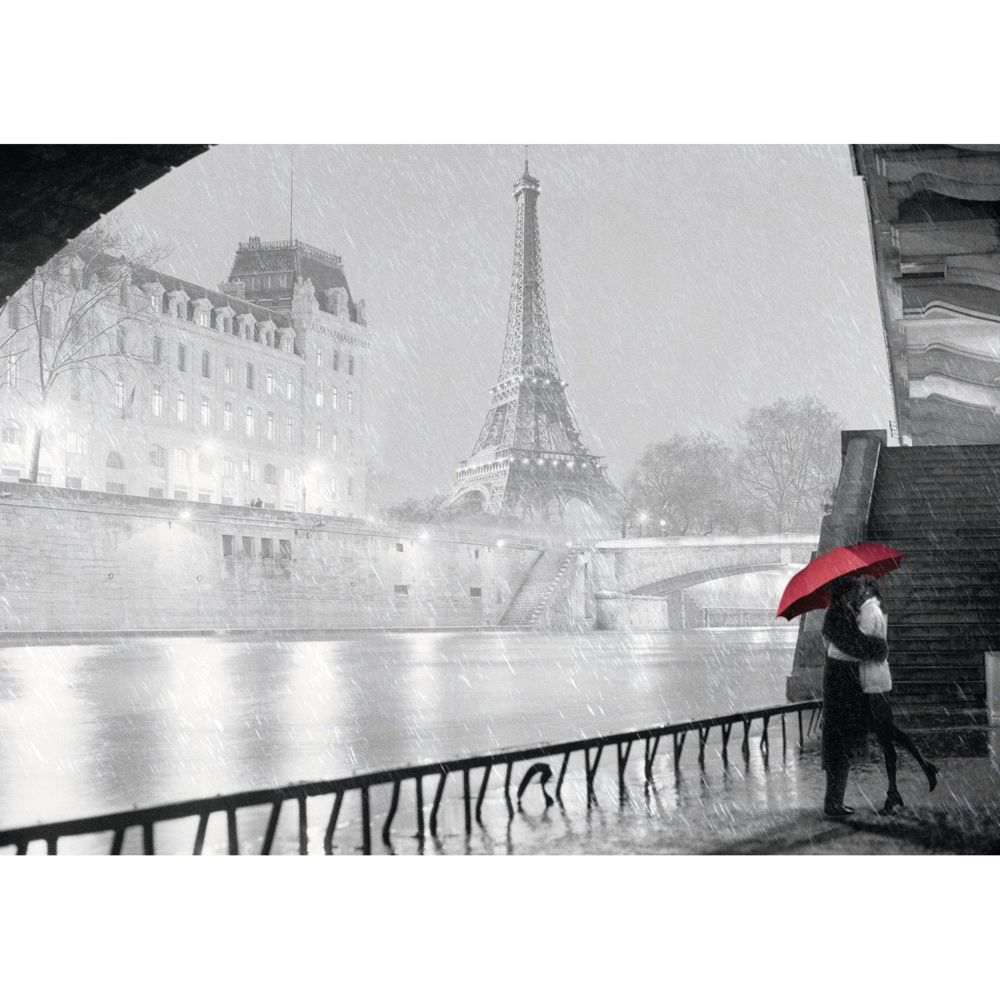 Ravensburger - Puzzle 1000 pièces : Paris sous la pluie - Animaux