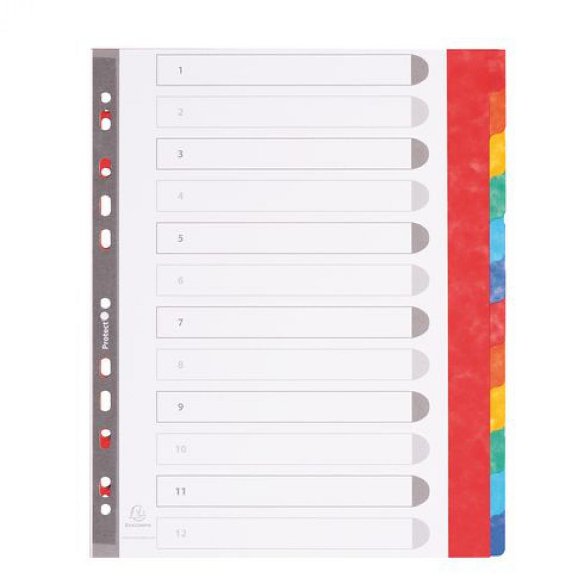 Exacompta - Intercalaire A4+ carte lustrée colorée Exacompta 12 onglets neutres multicolores - 1 jeu - Accessoires Bureau