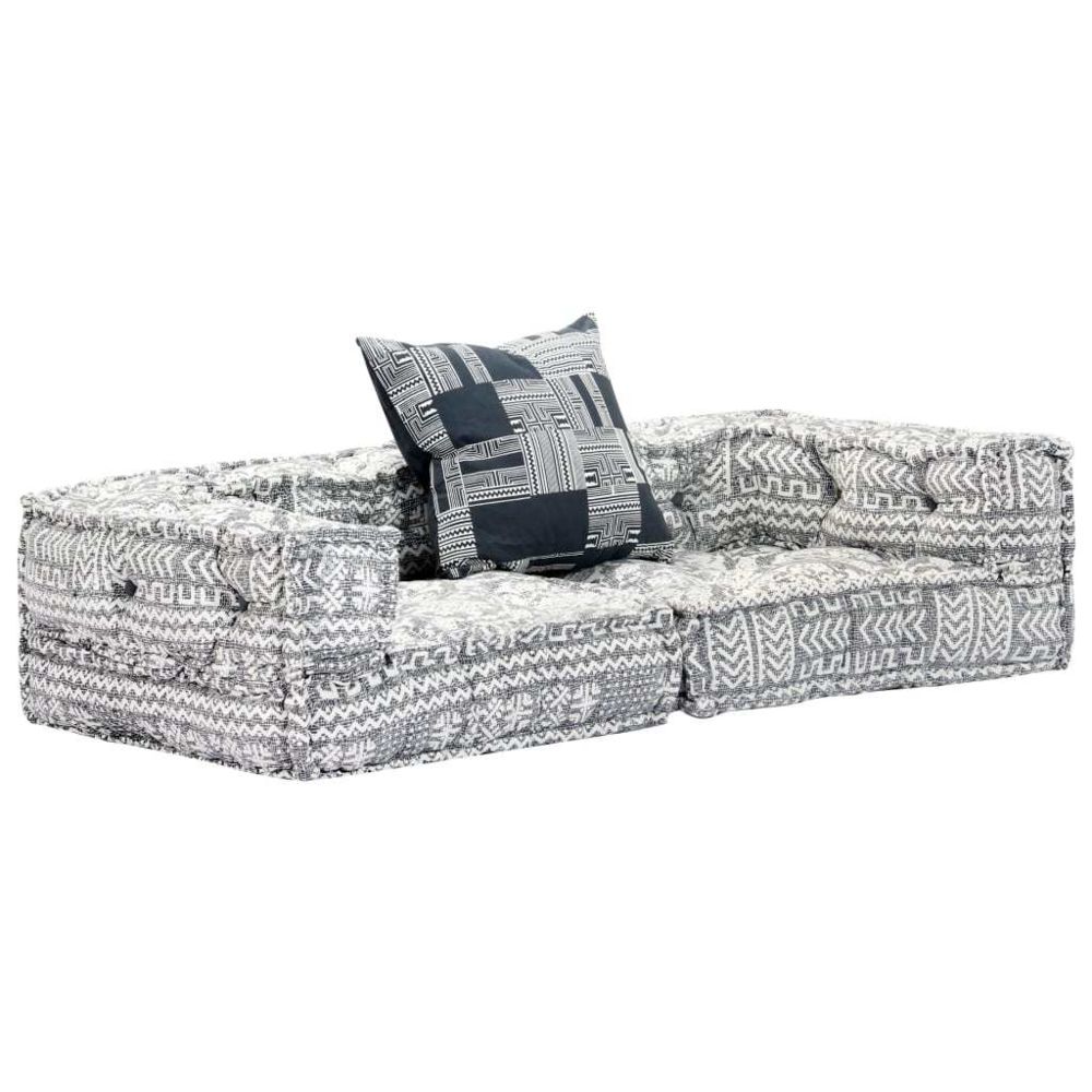 marque generique - Magnifique Meubles ensemble Lusaka Canapé-lit modulaire à 2 places Gris Tissu - Canapés