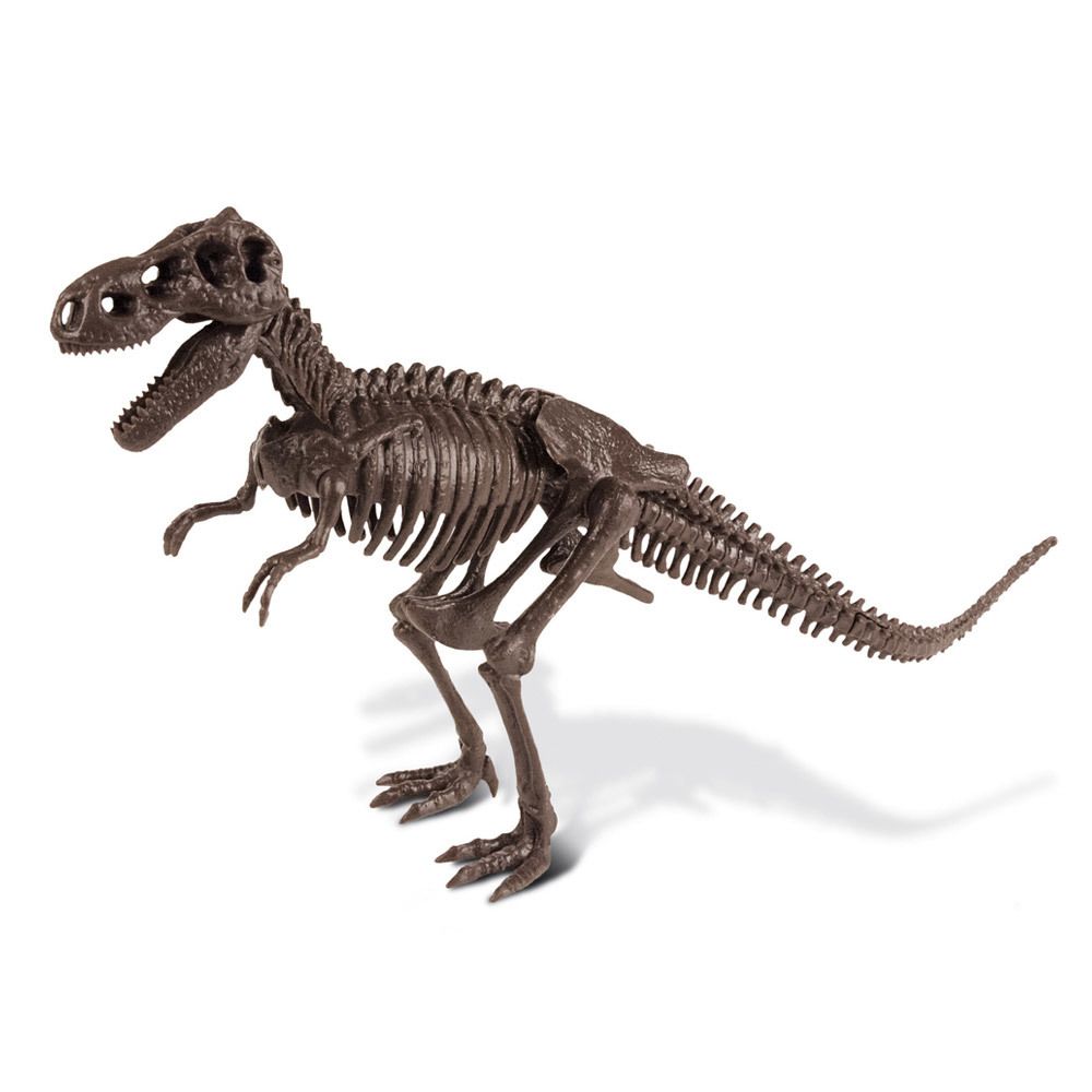 Neotilus - Kit excavation : Tyrannosaurus Rex - Kit d'expériences
