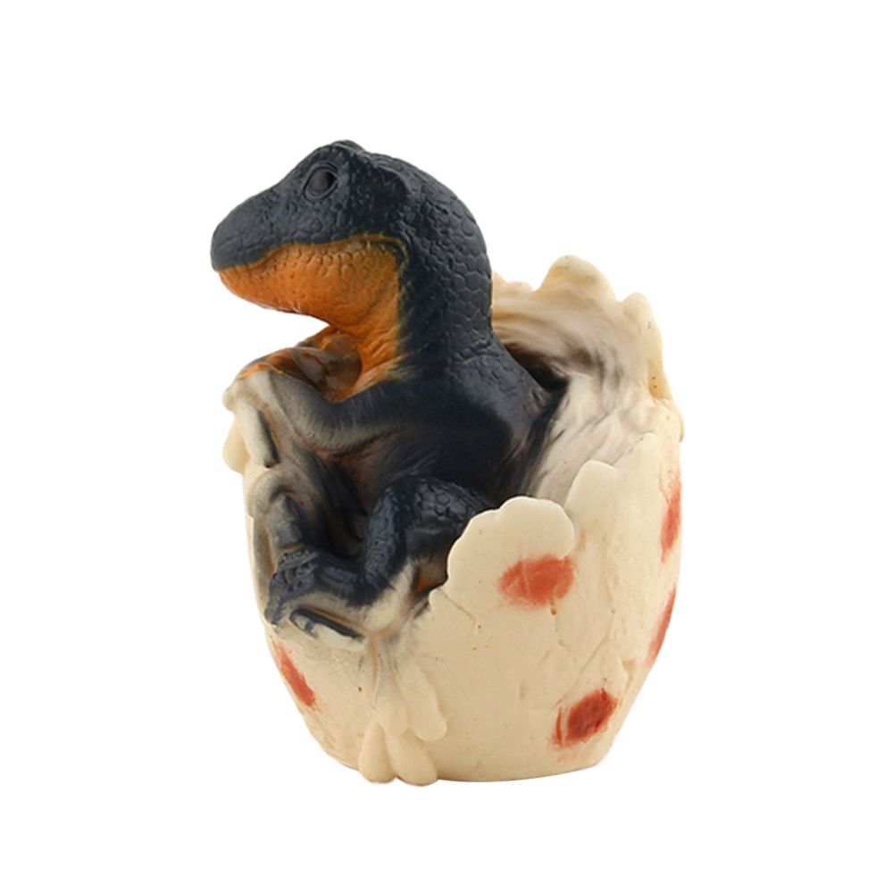 marque generique - Décoration de bébé dinosaure avec plateau pour fête, présentoir et collection Style1 - Dinosaures