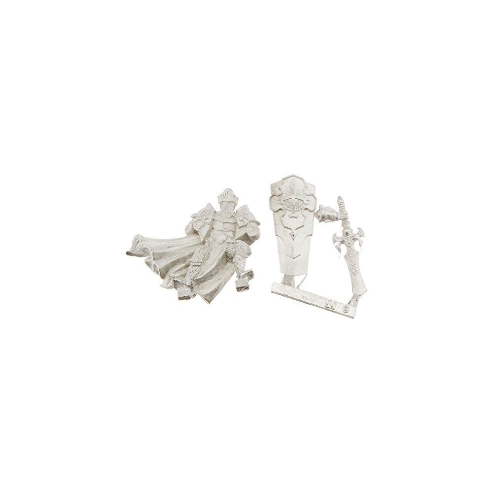 Privateer Press - Privateer Press Protectorate of Menoth - Order of the Wall Paladin Alt Pose Model Kit - Figurines militaires