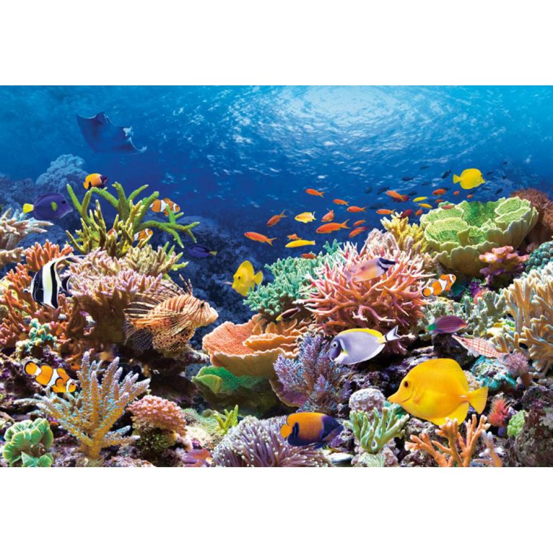 Castorland - Coral Reef Fishes,Puzzle 1000 Teile - Castorland - Accessoires et pièces