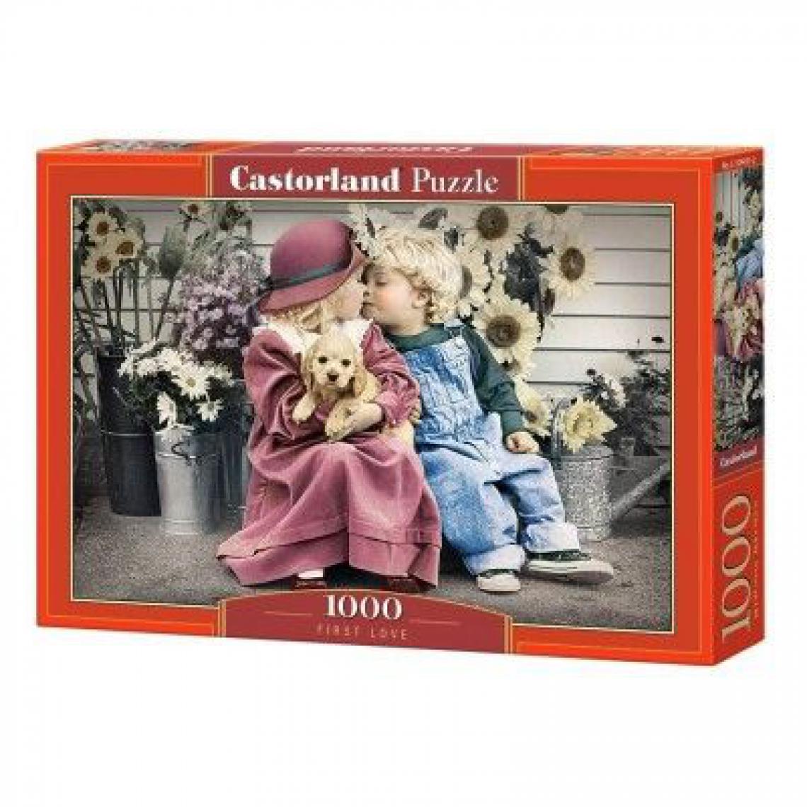 Castorland - First Love, Puzzle 1000 Teile - Castorland - Accessoires et pièces
