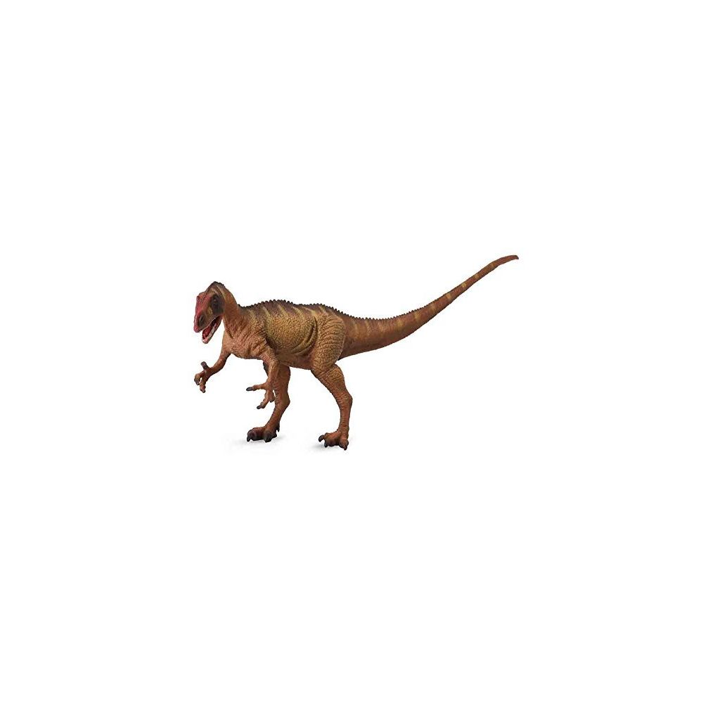Collecta - CollectA Prehistoric Life Neovenator Deluxe Figure à l'échelle 1:40 de dinosaure - Modèle approuvé par les paléontologues - Mangas