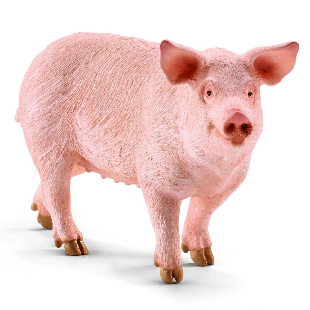 Schleich - Figurine cochon domestique - Animaux