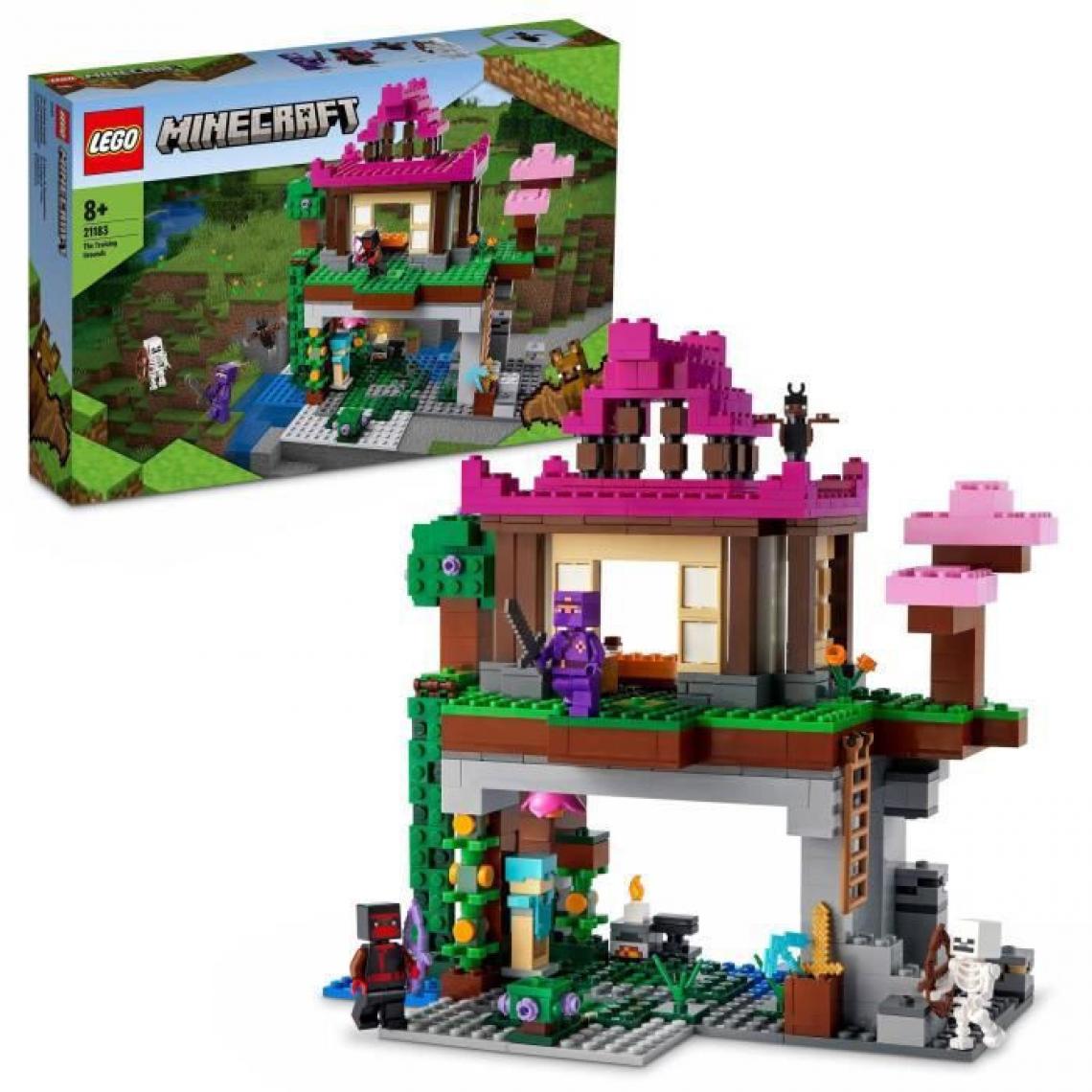 Lego - LEGO 21183 Minecraft Le Camp d'Entraînement, Set Maison Grotte, Jouet Enfants +8 ans avec Figurines Squelette, Ninja, Rogue - Briques Lego