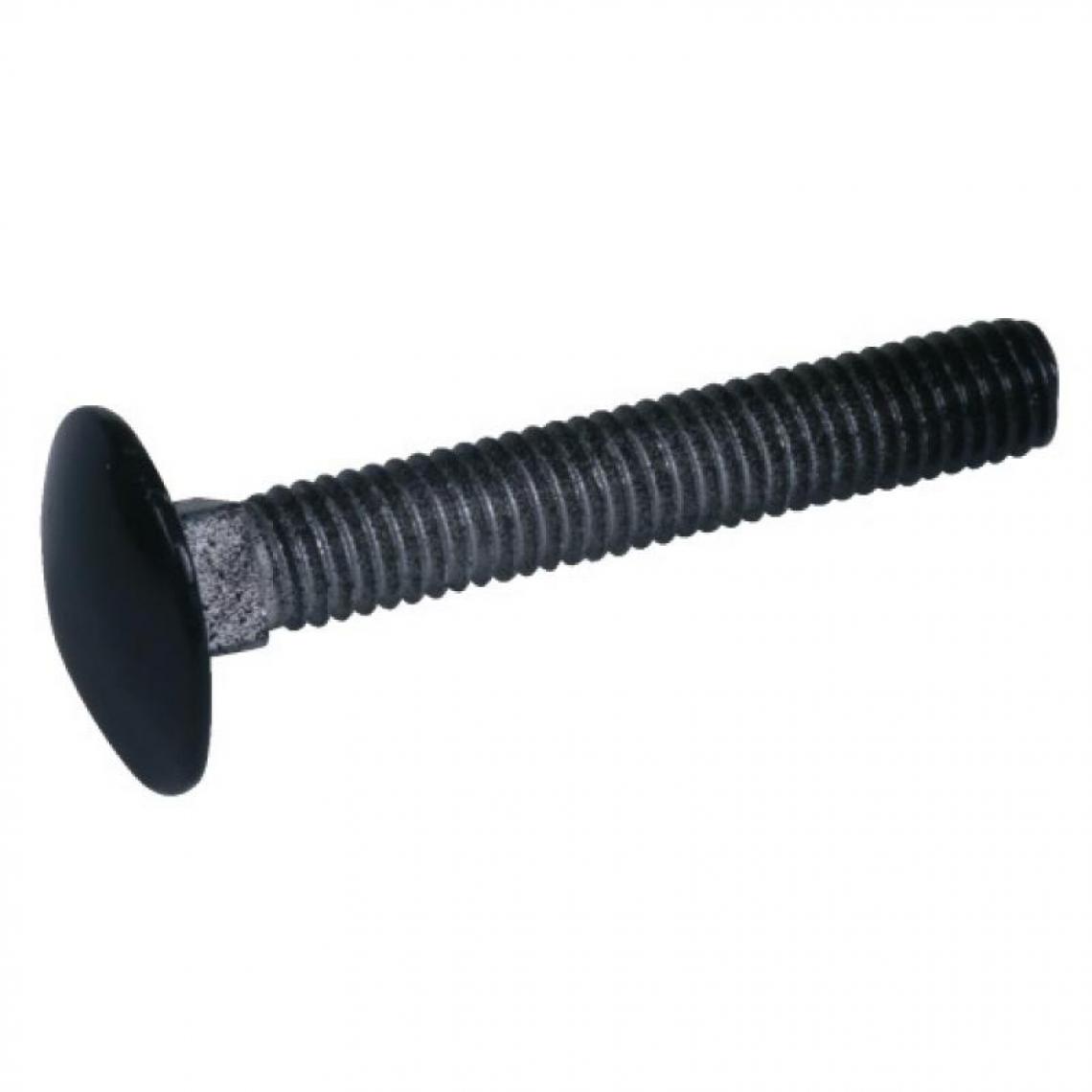 Torbel Industrie - Boulons tête ronde collet carré 6 x 60 mm finition noir pour volets aluminium et PVC boîte de - Charnière de fenetre
