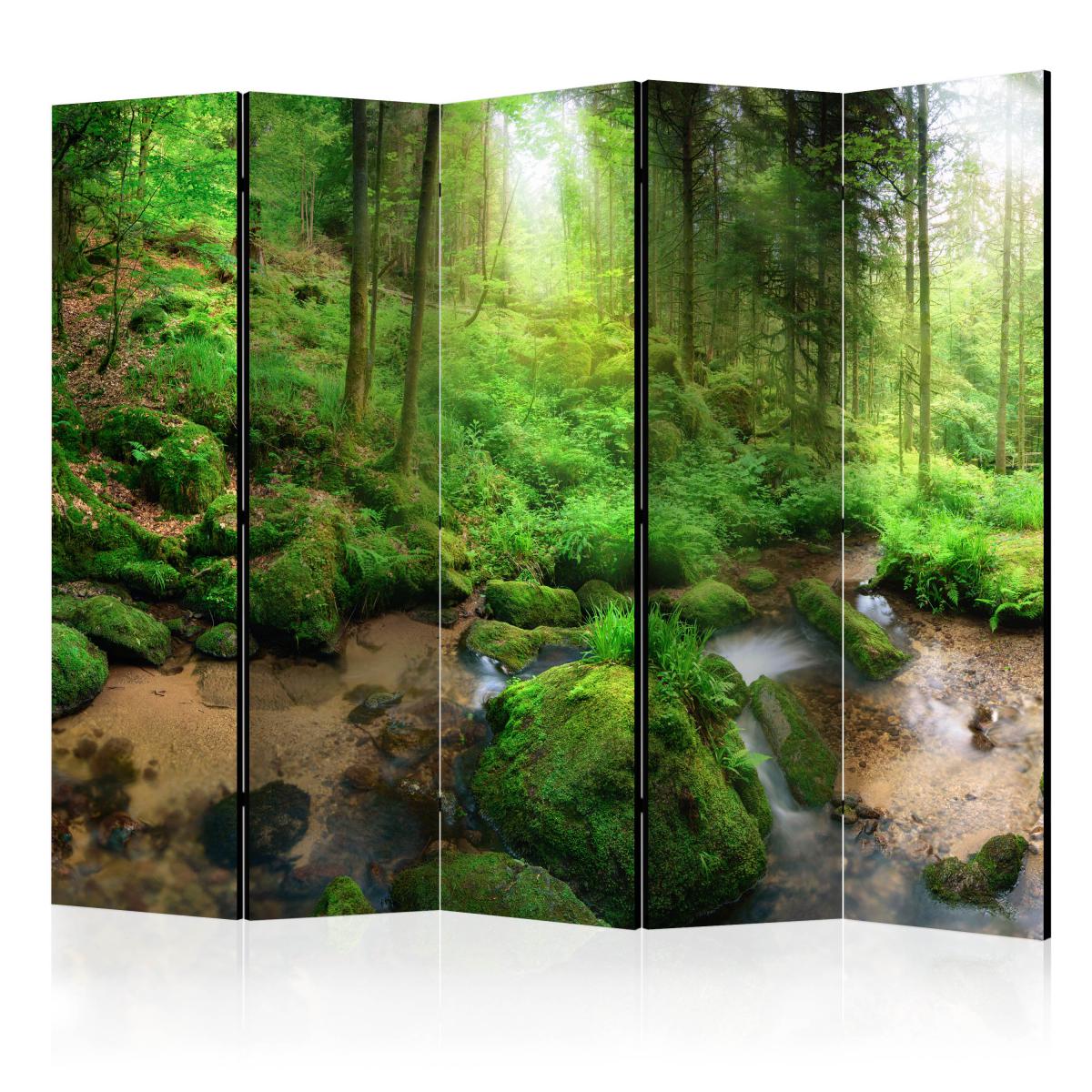 Bimago - Paravent 5 volets - Humid Forest II [Room Dividers] - Décoration, image, art | 225x172 cm | XL - Grand Format | - Cloisons