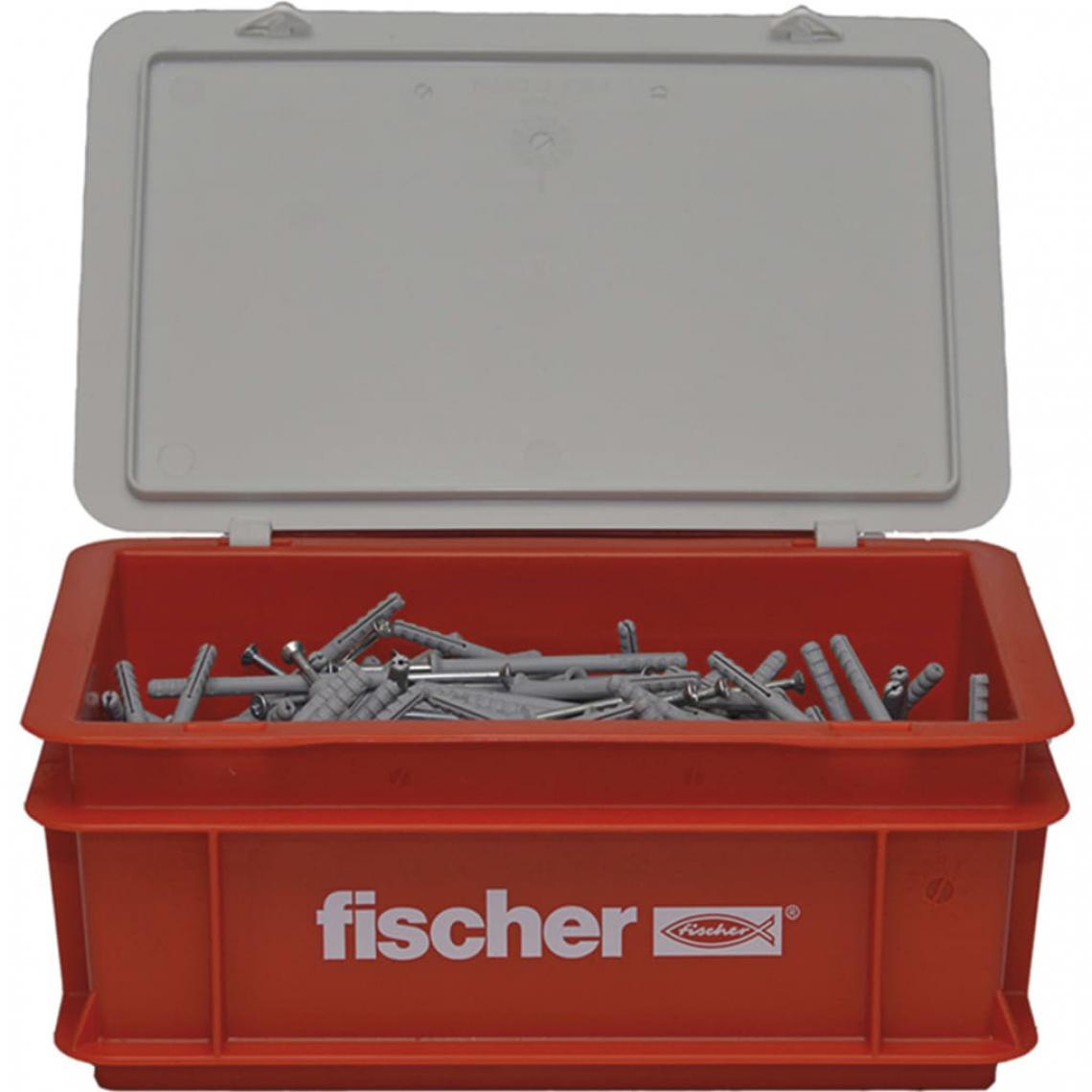 Fischer - Fischer Ensemble de vis à clou avec chevilles N6x80 300 pcs - Clouterie