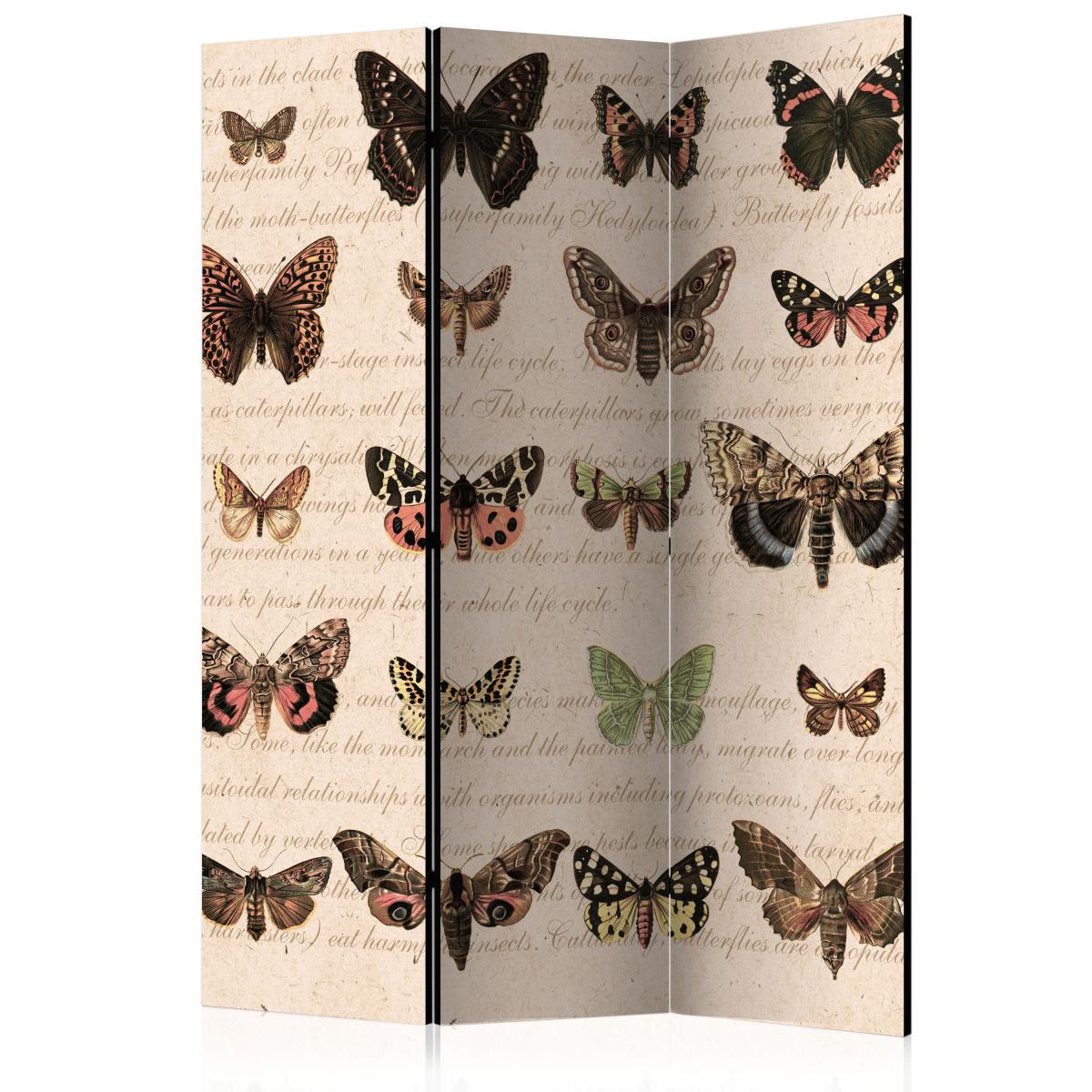 Bimago - Paravent 3 volets - Retro Style: Butterflies [Room Dividers] - Décoration, image, art | 135x172 cm | - Cloisons