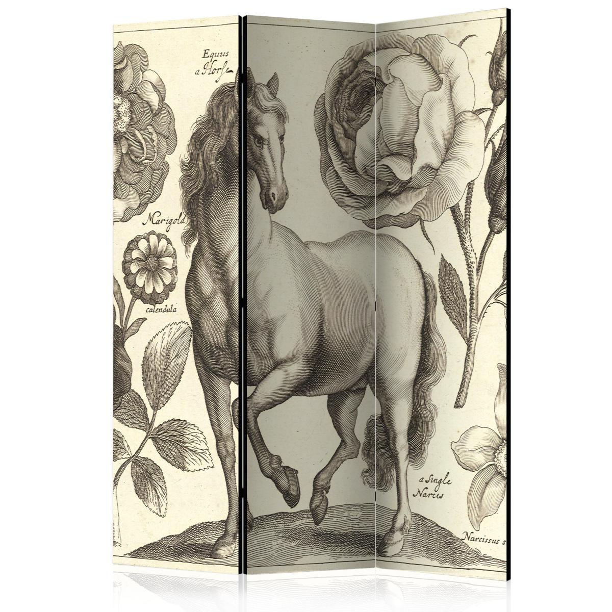 Bimago - Paravent 3 volets - Horse [Room Dividers] - Décoration, image, art | 135x172 cm | - Cloisons