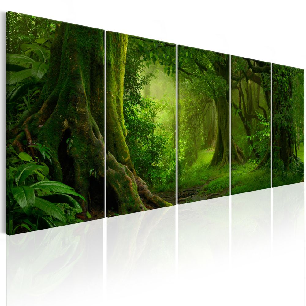 Bimago - Tableau - Tropical Jungle - Décoration, image, art | Paysages | Forêt | - Tableaux, peintures