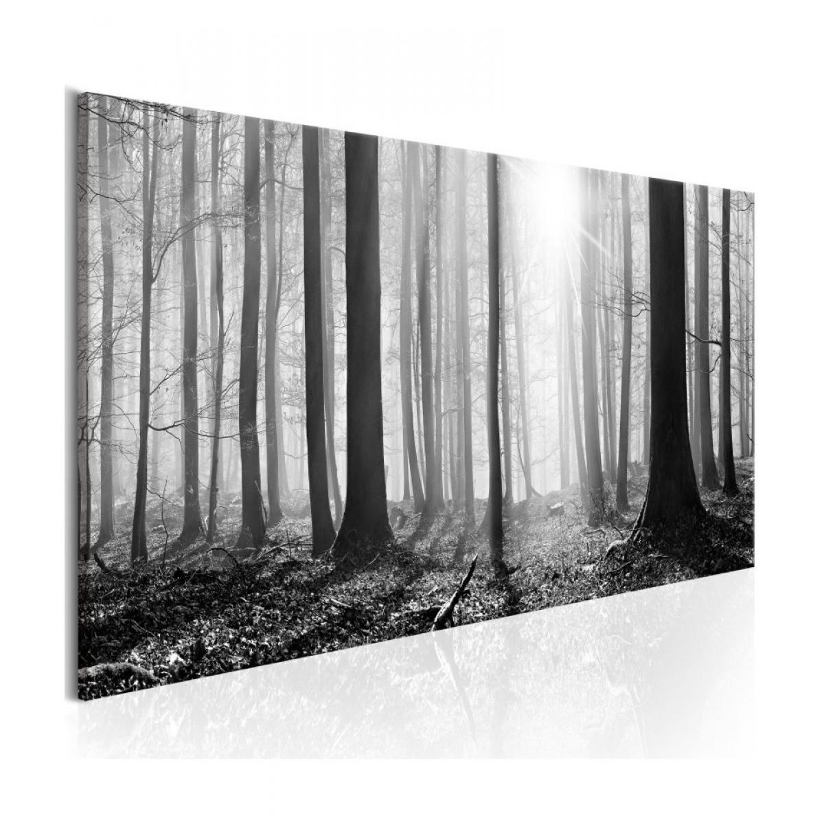 Artgeist - Tableau - Black and White Forest 120x40 - Tableaux, peintures