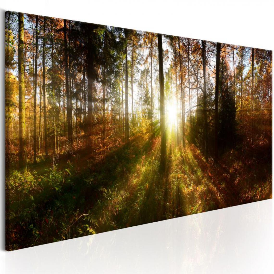 Artgeist - Tableau - Beautiful Forest .Taille : 150x50 - Tableaux, peintures