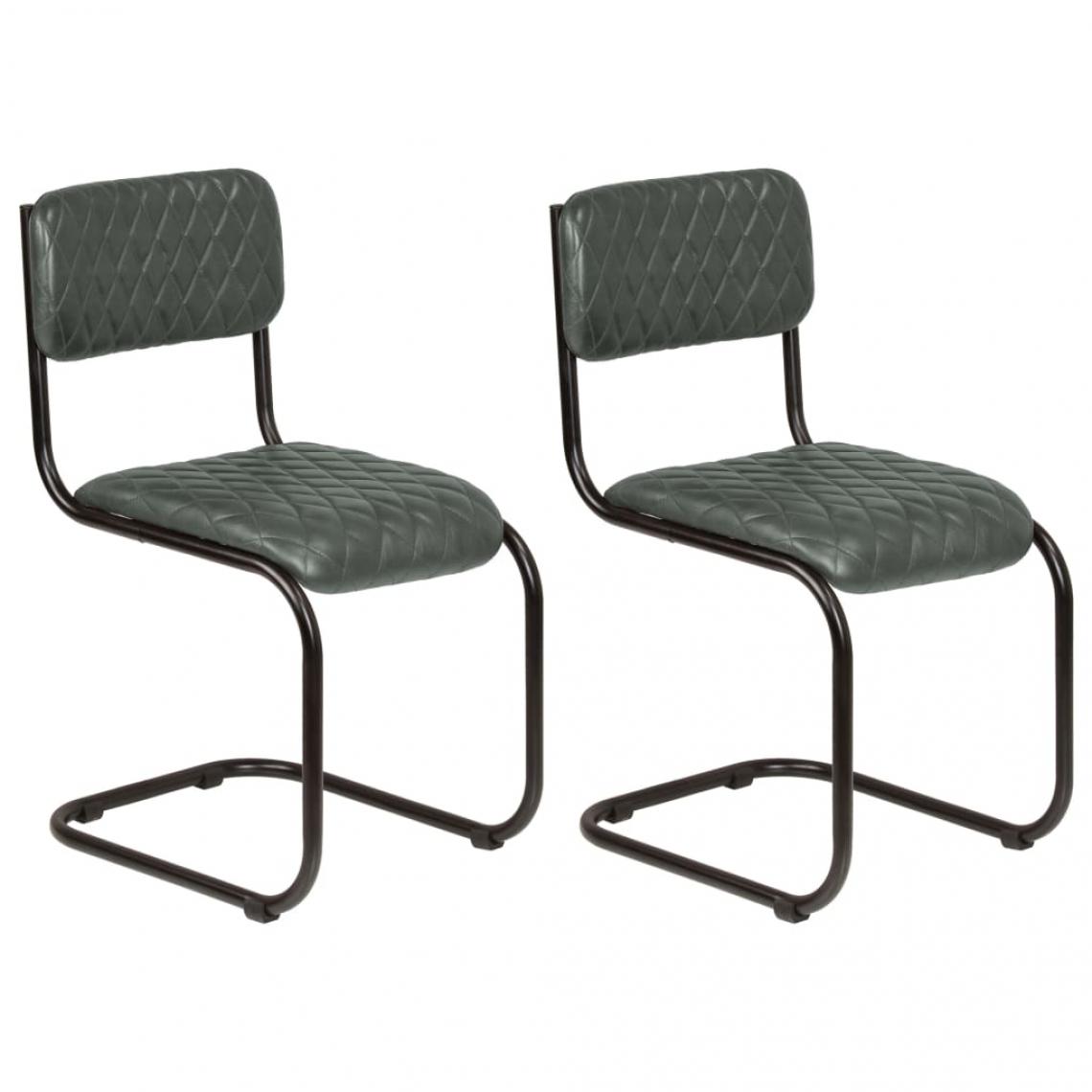 Decoshop26 - Lot de 2 chaises de salle à manger cuisine design vintage cuir véritable gris CDS020514 - Chaises