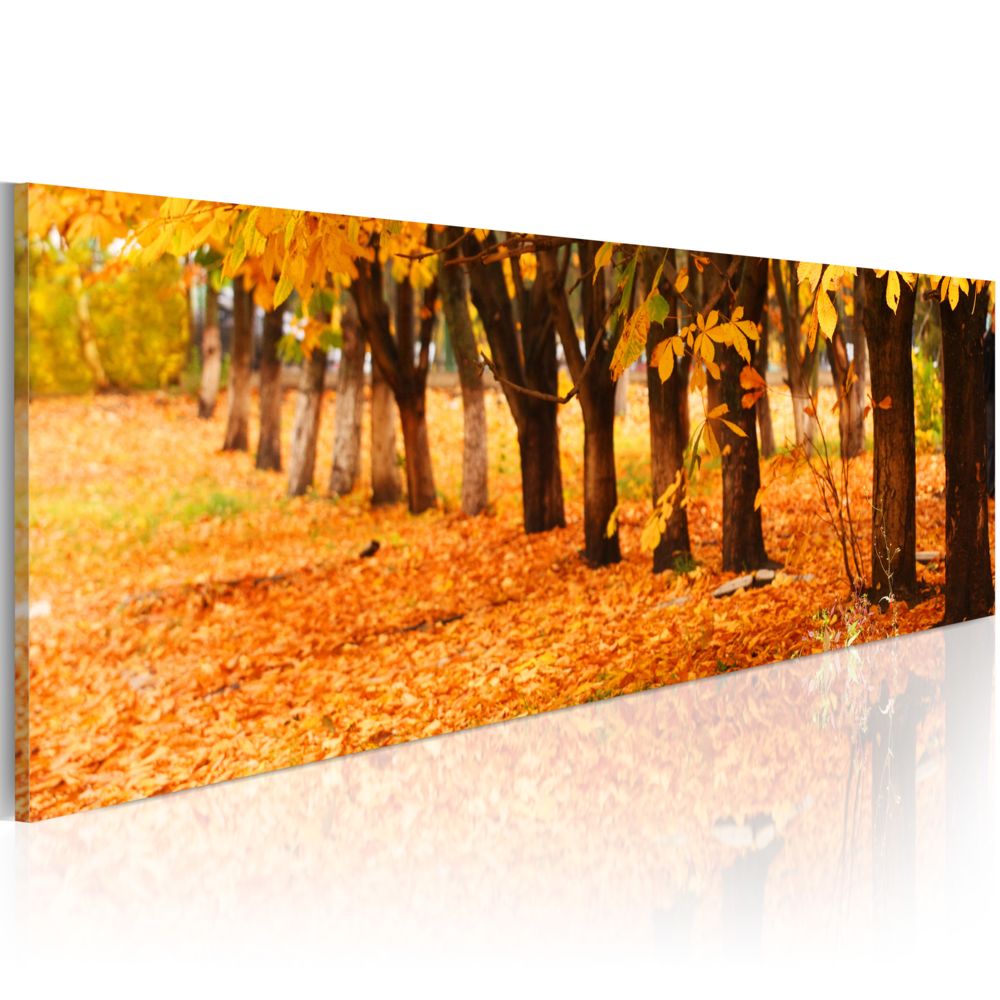 Bimago - Tableau - Golden leaves - Décoration, image, art | Paysages | Forêt | - Tableaux, peintures