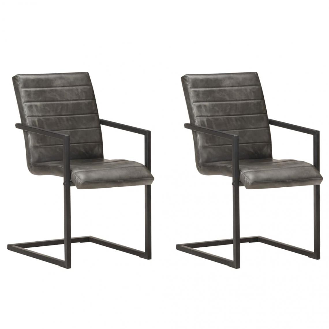 Decoshop26 - Lot de 2 chaises de salle à manger cuisine cantilever design rétro cuir véritable gris CDS020323 - Chaises