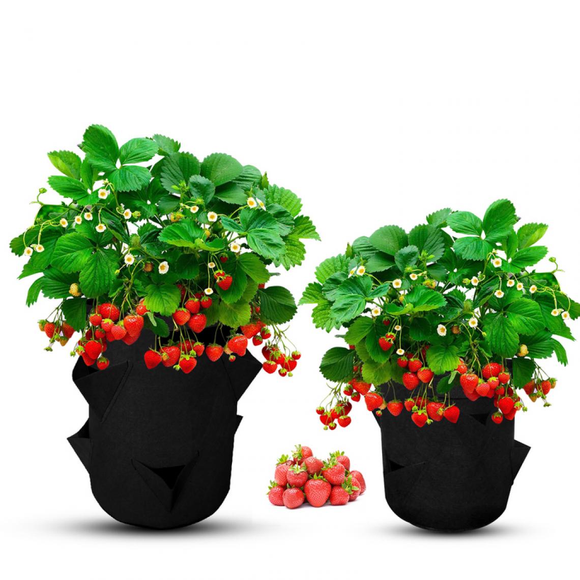 Einfeben - 2x Sac pour plantes Sac pour plantes 10 gallons Sac pour plantes Panier pour plantes Pomme de terre Tomate Fraise - Pots, cache-pots