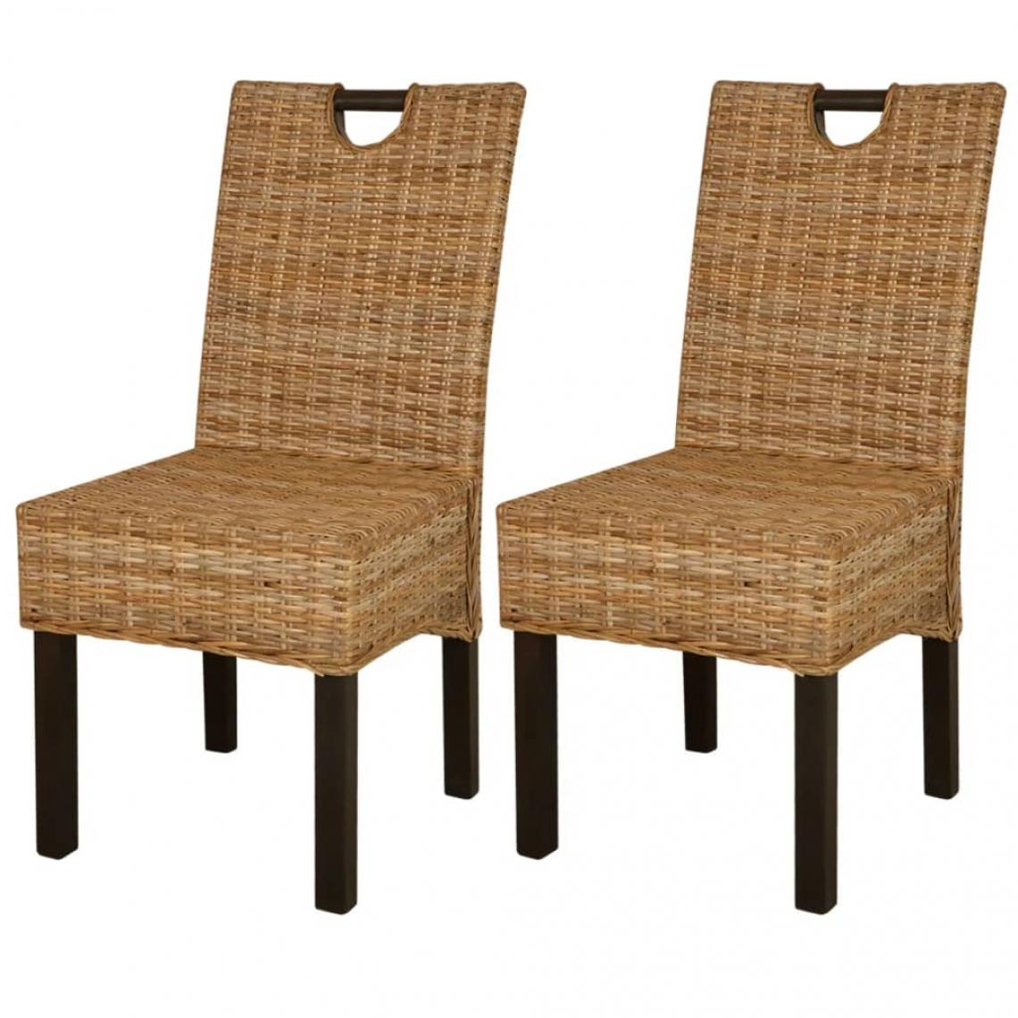 Decoshop26 - Lot de 2 chaises de salle à manger cuisine design classique rotin Kubu bois de manguier CDS020121 - Chaises