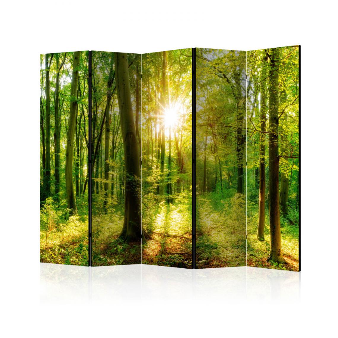 Artgeist - Paravent 5 volets - Forest Rays II [Room Dividers] 225x172 - Paravents