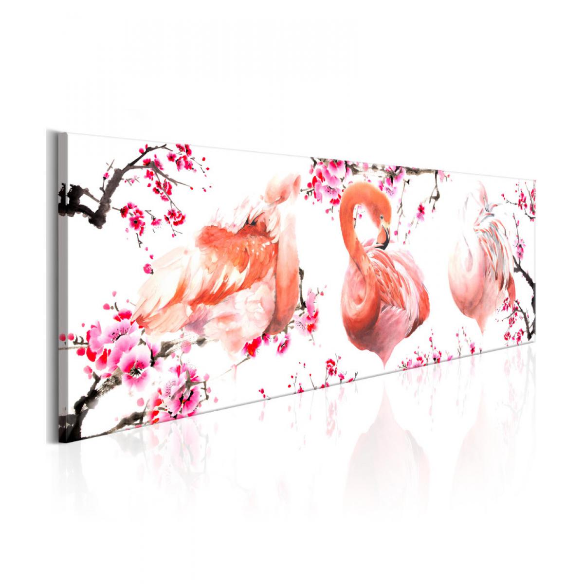 Artgeist - Tableau - Beauty of Birds 150x50 - Tableaux, peintures