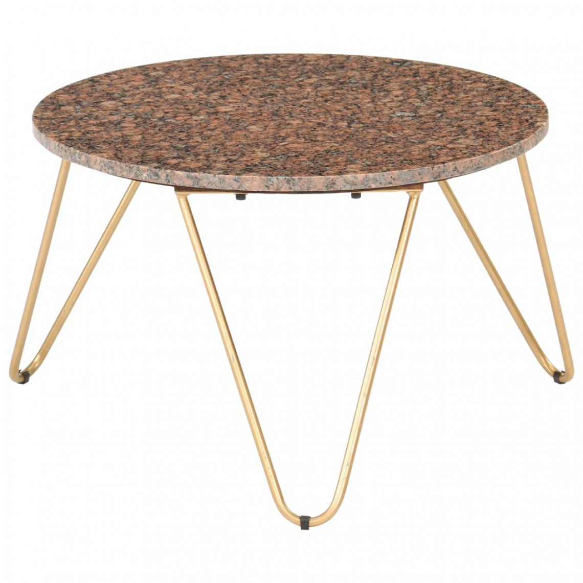 Vidaxl - vidaXL Table basse Marron 65x65x42 cm Pierre véritable texture marbre - Tables à manger