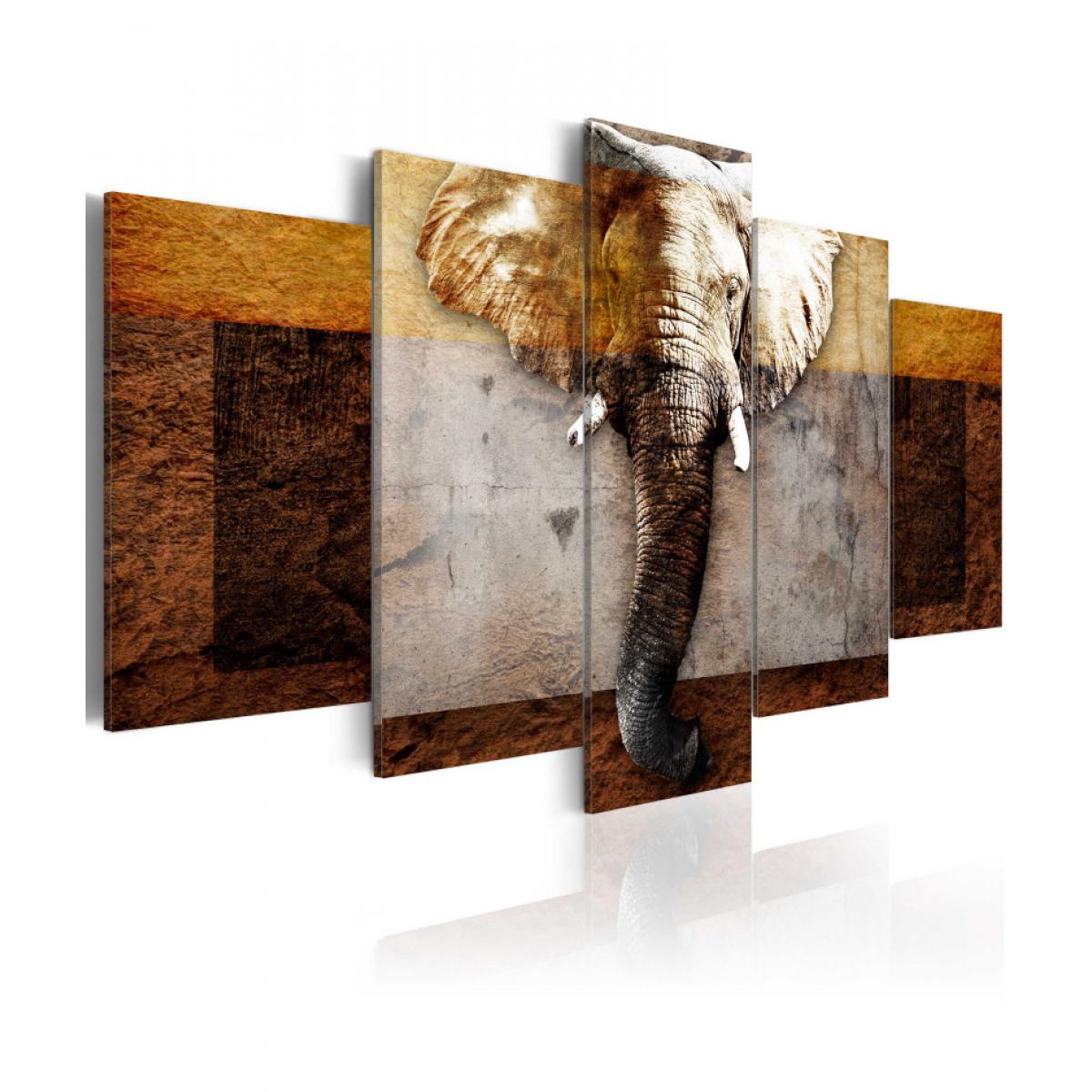Artgeist - Tableau - Strength of Africa 100x50 - Tableaux, peintures
