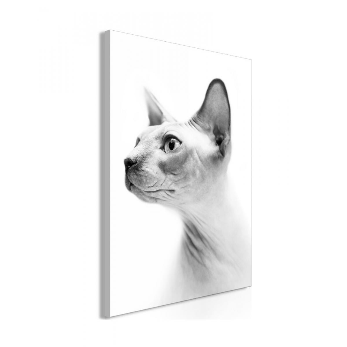 Artgeist - Tableau - Hairless Cat (1 Part) Vertical 40x60 - Tableaux, peintures