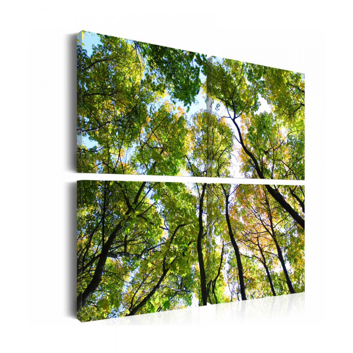 Artgeist - Tableau - Treetops 60x60 - Tableaux, peintures
