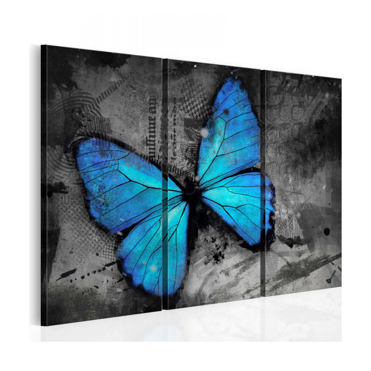 Artgeist - Tableau - Etude d'un papillon - triptyque 90x60 - Tableaux, peintures