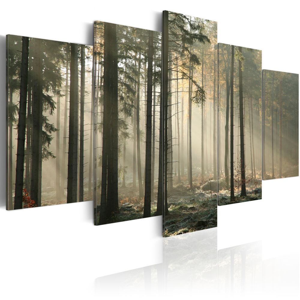 Bimago - Tableau - Lumière dans une sombre forêt - Décoration, image, art | Paysages | Forêt | - Tableaux, peintures