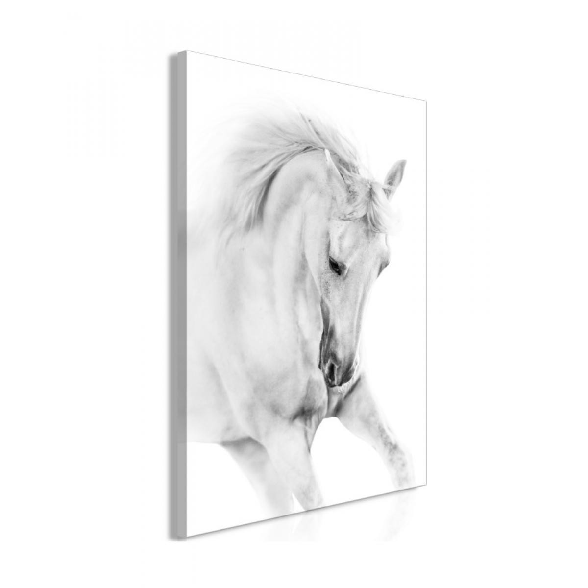 Artgeist - Tableau - White Horse (1 Part) Vertical 40x60 - Tableaux, peintures
