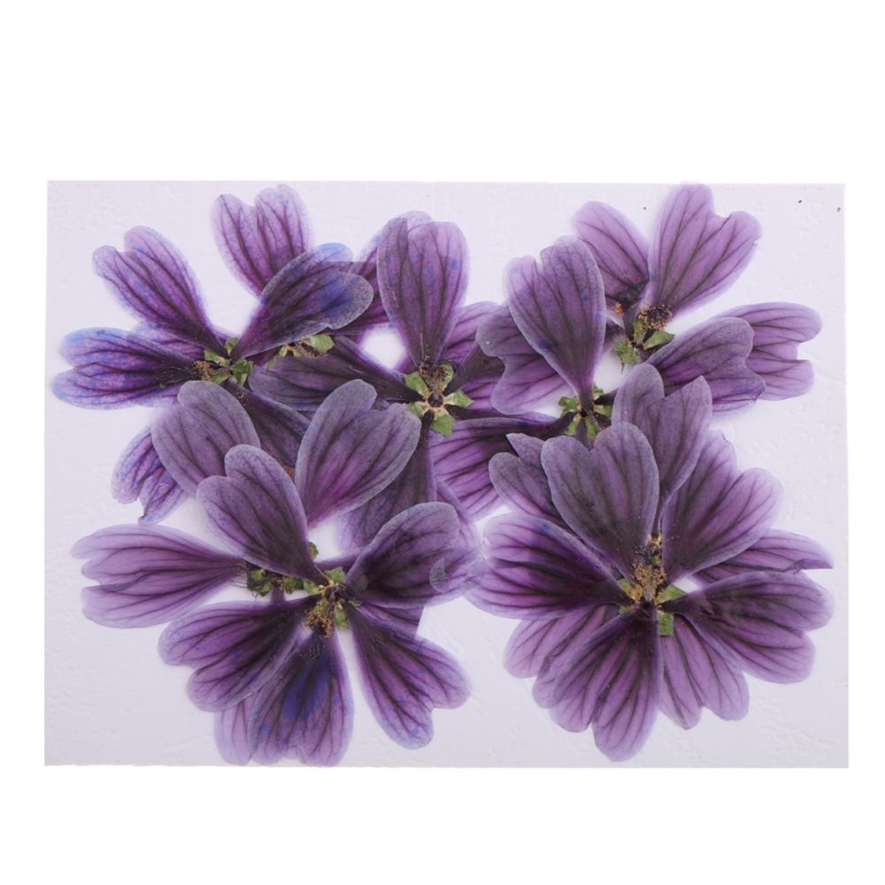 marque generique - Fleur séchée Artificelle - Plantes et fleurs artificielles
