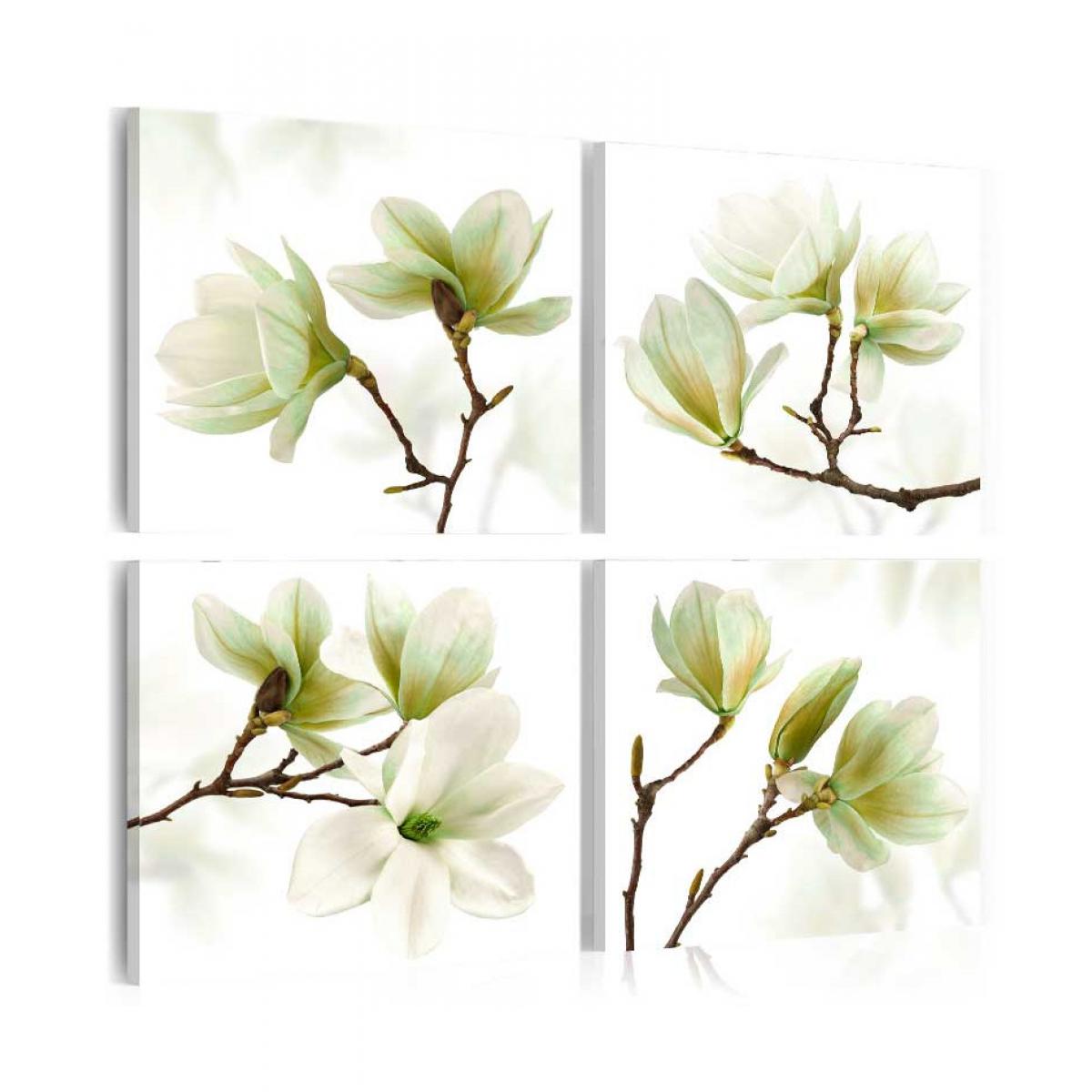 Artgeist - Tableau - Admiration of Magnolia 40x40 - Tableaux, peintures