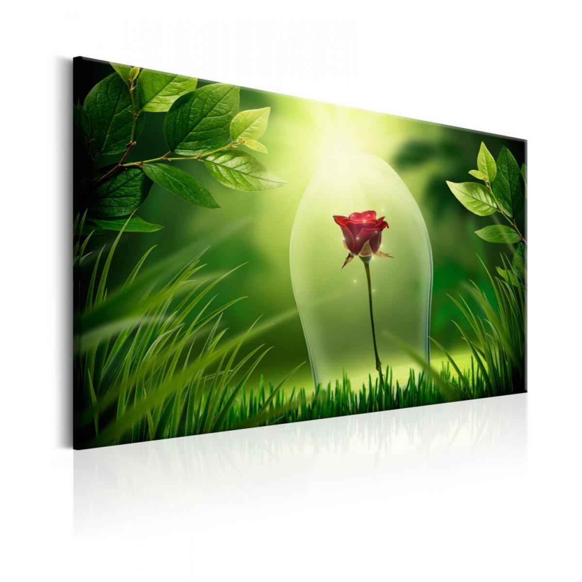 Artgeist - Tableau - Magical Rose 120x80 - Tableaux, peintures