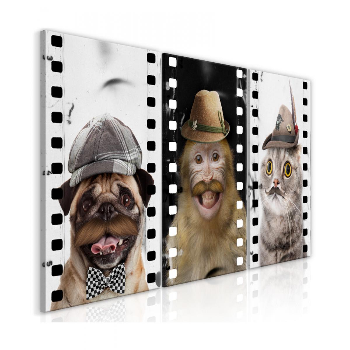 Artgeist - Tableau - Funny Pets (Collection) 60x30 - Tableaux, peintures