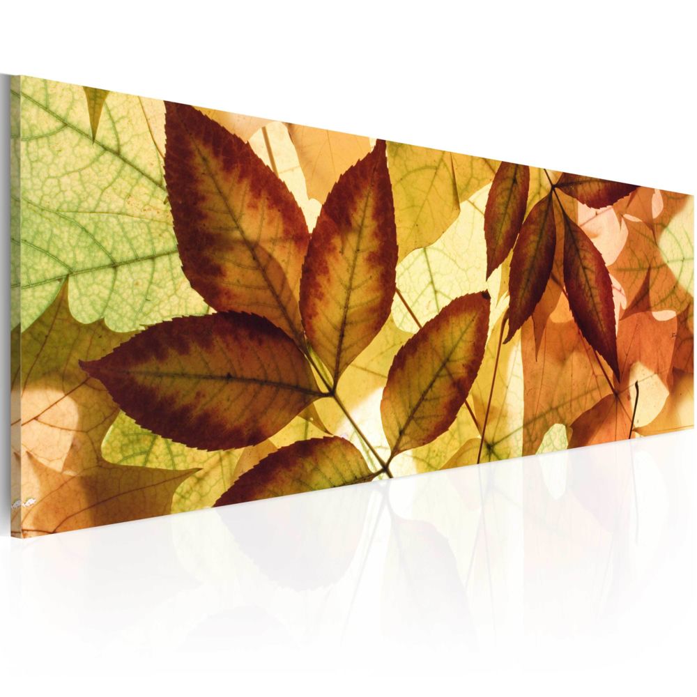 Bimago - Tableau - collage - feuilles - Décoration, image, art | Paysages | Forêt | - Tableaux, peintures