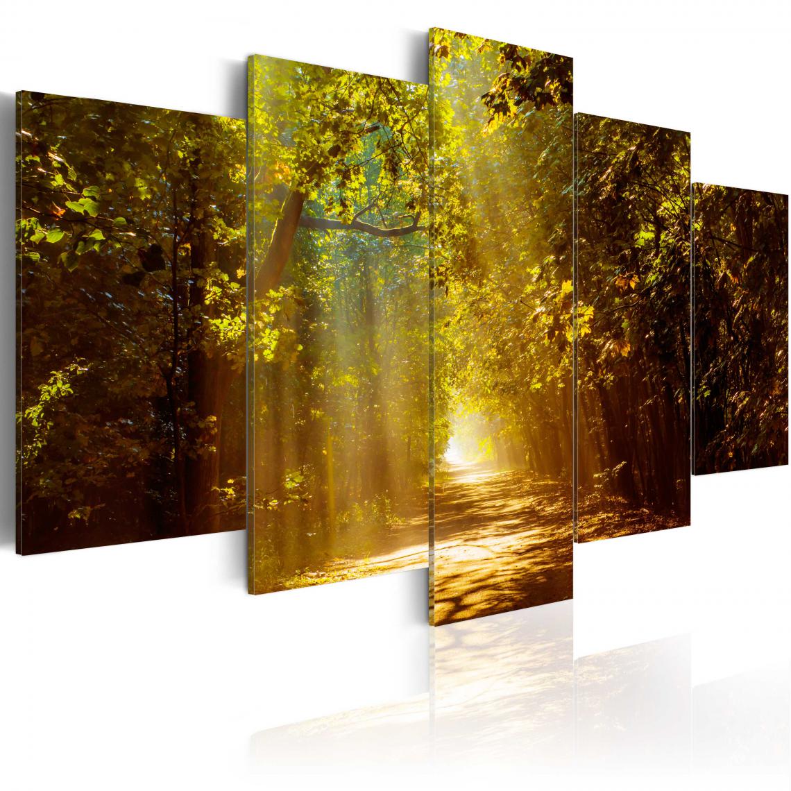 Decoshop26 - Tableau sur toile en 5 panneaux décoration murale image imprimée cadre en bois à suspendre Forêt ensoleillée 100x50 cm 11_0006223 - Tableaux, peintures