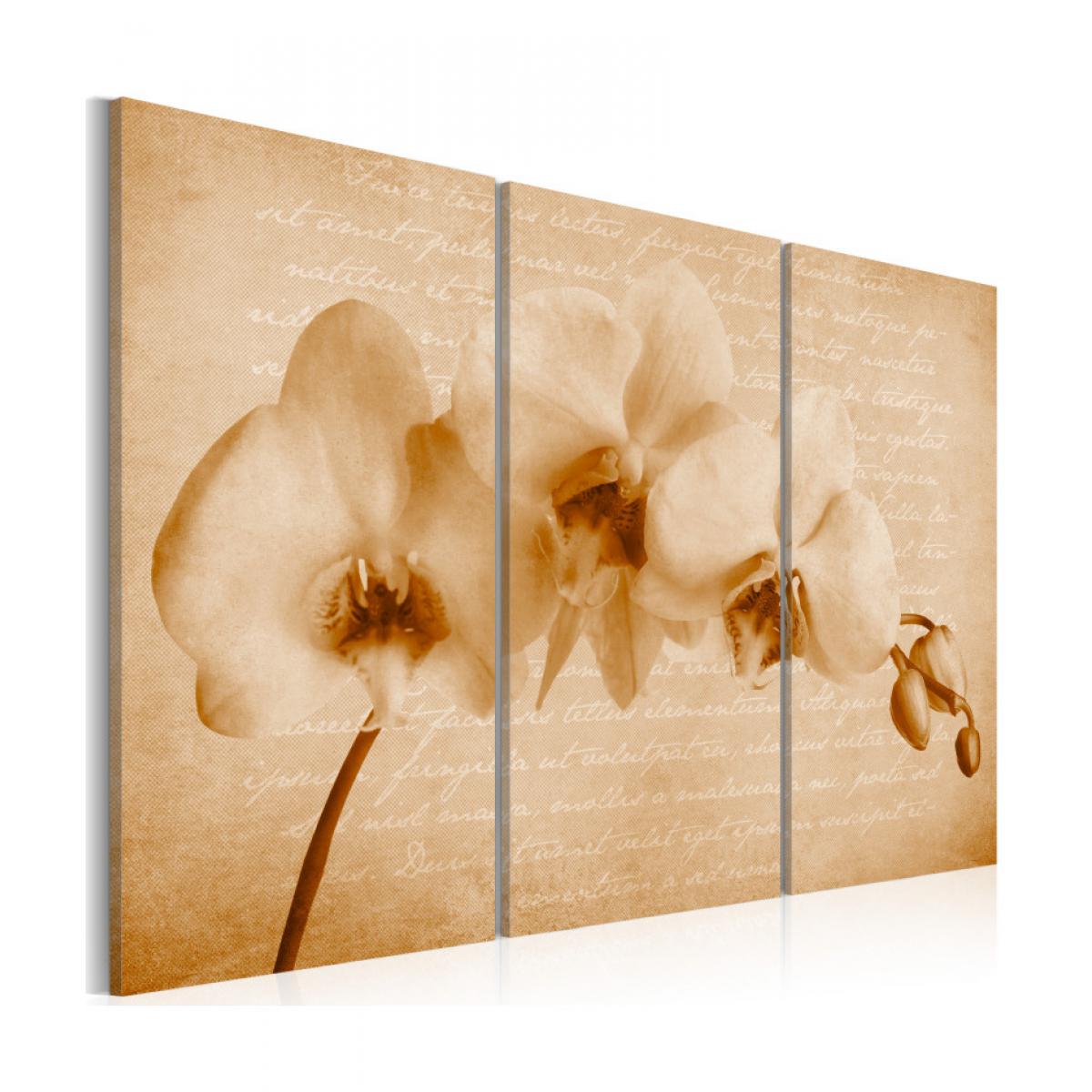 Artgeist - Tableau - orchidée (vintage) 60x40 - Tableaux, peintures
