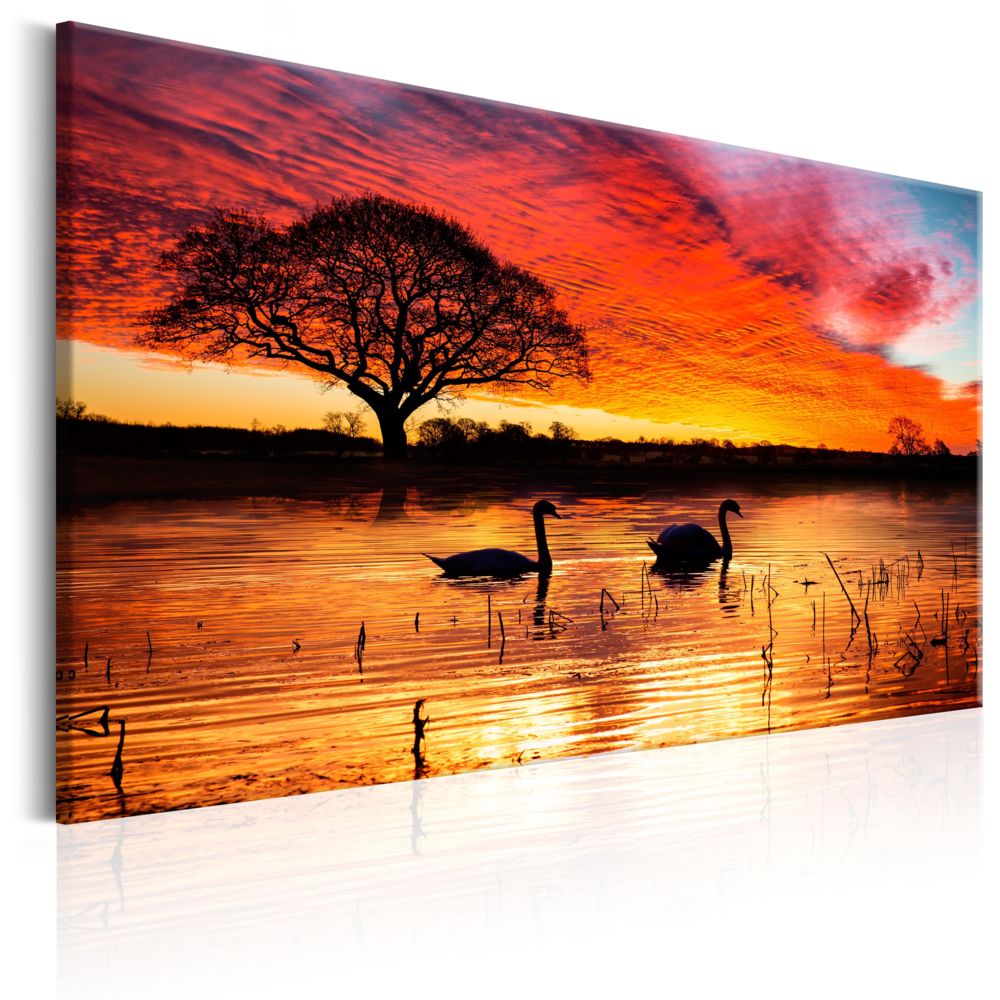 Bimago - Tableau - Swan Lake - Décoration, image, art | Paysages | Levers et couchers de soleil | - Tableaux, peintures