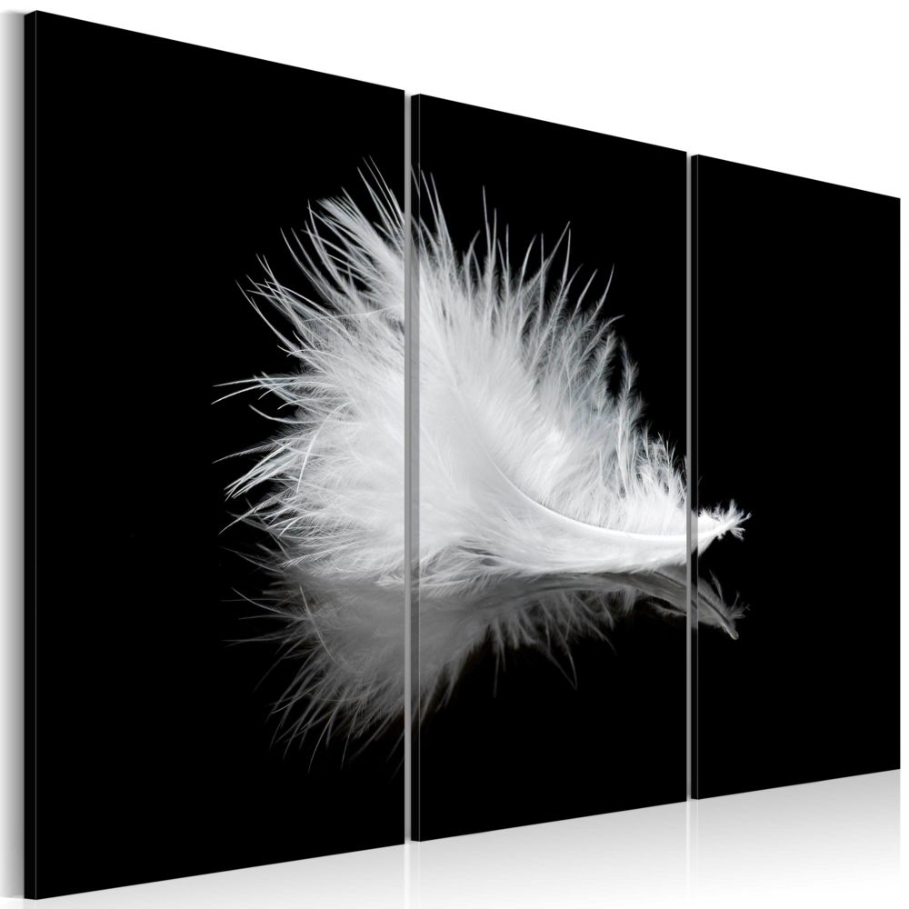 Bimago - Tableau - Petite plume - Décoration, image, art | Abstraction | Noirs et blancs | - Tableaux, peintures
