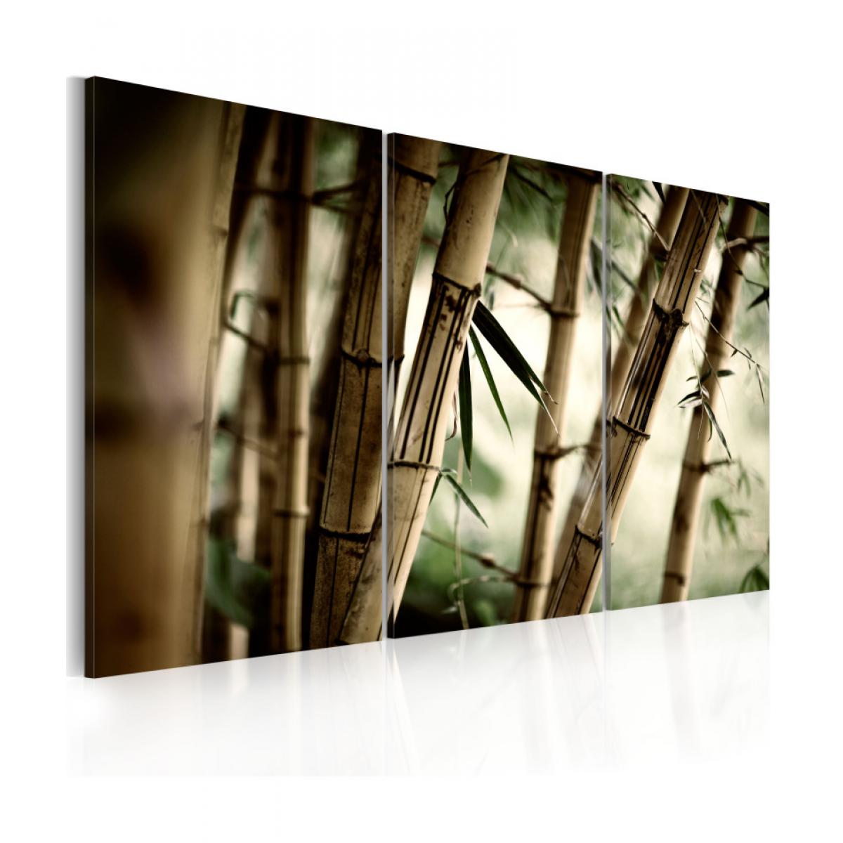 Artgeist - Tableau - forêt tropicale 60x40 - Tableaux, peintures