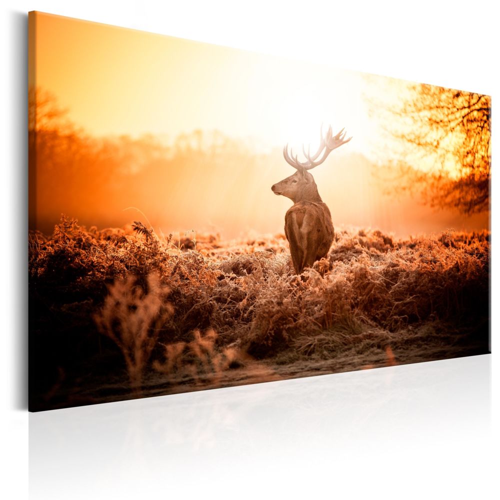 Bimago - Tableau - Deer in the Sun - Décoration, image, art | Animaux divers | - Tableaux, peintures
