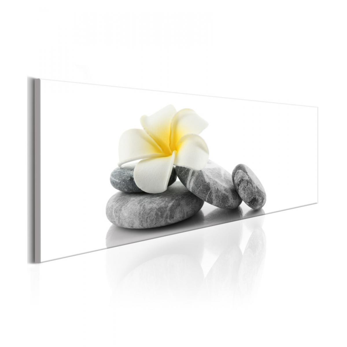 Artgeist - Tableau - White Lotus 135x45 - Tableaux, peintures