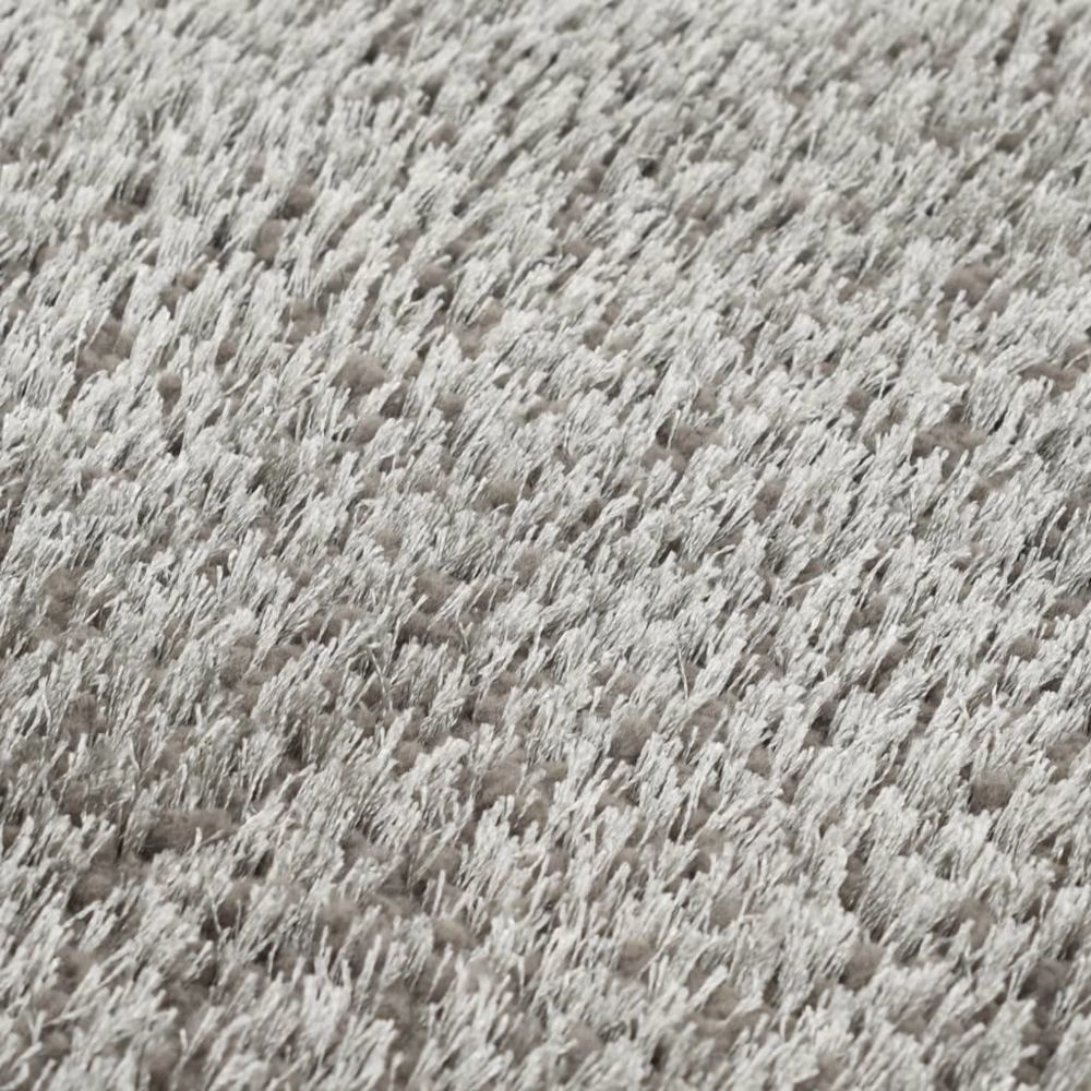 marque generique - Icaverne - Petits tapis serie Tapis à poils longs 80 x 150 cm Anthracite - Tapis