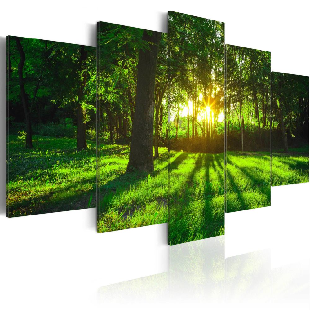 Bimago - Tableau | Morning in the forest | 100x50 | Paysages | Forêt | - Tableaux, peintures