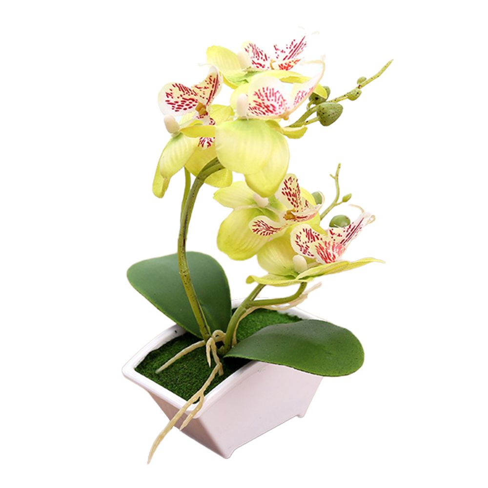 marque generique - Orchidée Artificielle Bonsaï Fausse Fleur Intérieur Extérieur Bureau Décor à La Maison Vert - Plantes et fleurs artificielles